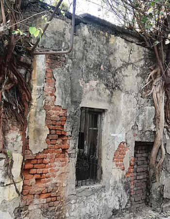 The gruesome Sainbari murders [ West Bengal, India ]