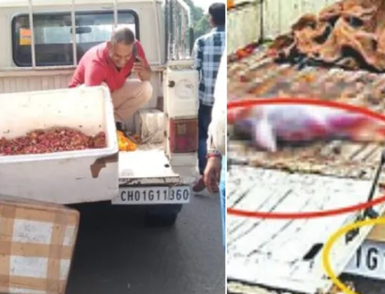 Chandigarh Municipal Corporation uses same vehicle to transport meat and temple flowers [ Chandigarh, India ]